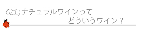 ナチュラルワインとは　ビオワインとは